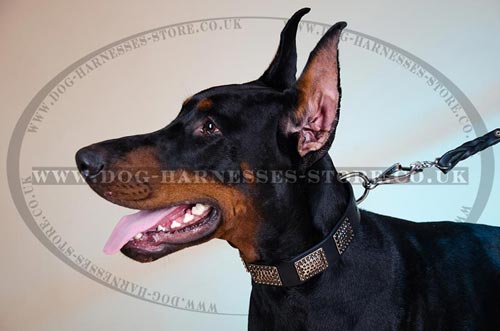 1.5 inch Leather Dog Collar with Classic Buckle & D-ring