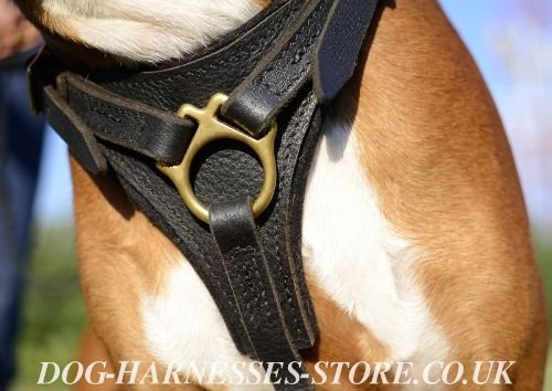 Bestseller! Leather Dog Harness for German Boxer Tracking