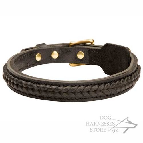 Leather Dog Collar with Handmade Braid for Walking and Training - Click Image to Close