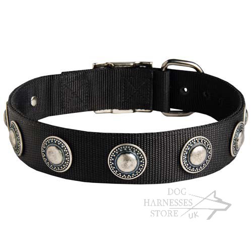 Designer Dog Collar with Silver Conchos, Wide Nylon Strap - Click Image to Close