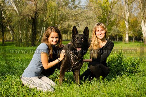 Designer Dog Harness "Barbed Wire" Painted for German Shepherd