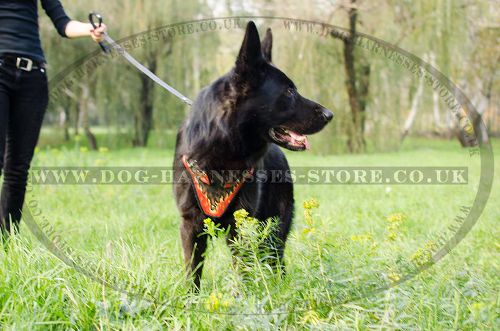 Designer Dog Harness with "Flames" for German Shepherd