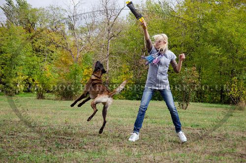 Dog Bite Tug of French Linen for Belgian Malinois Training - Click Image to Close