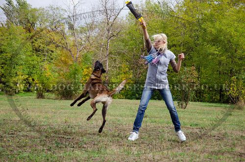 Dog Bite Tug of French Linen for Belgian Malinois Training