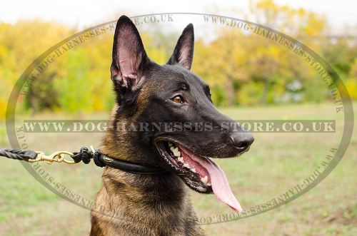 Rolled Leather Dog Collar for Belgian Malinois, Silent Control