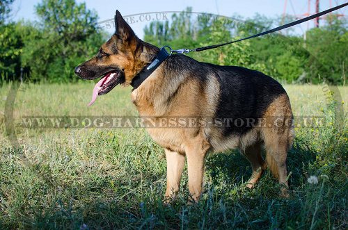 Dog Collar Name Plate for German Shepherd, Natural Leather