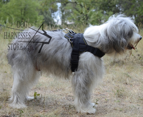 Walking Harness UK for Southern Russian Shepherds and Others! - Click Image to Close