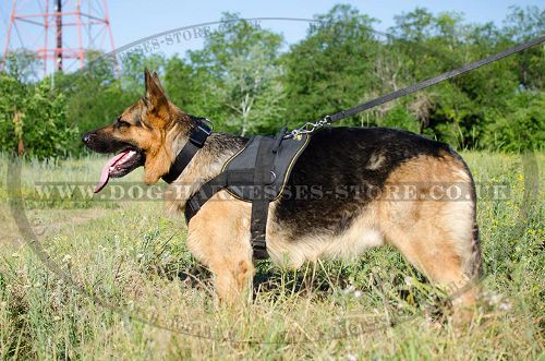 Dog Sport Harness for German Shepherd, Nylon UK - Click Image to Close