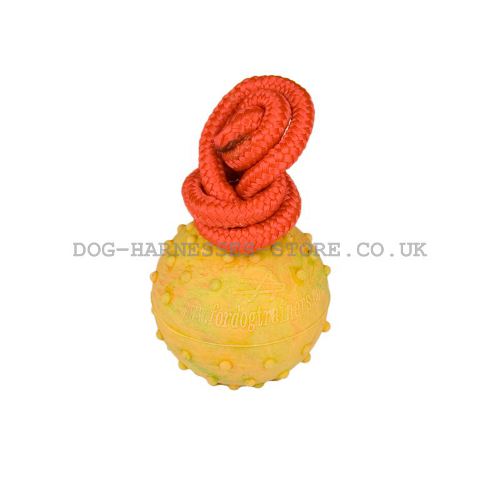 Rubber Ball for Dogs, Hollow Inside on Firm Nylon String