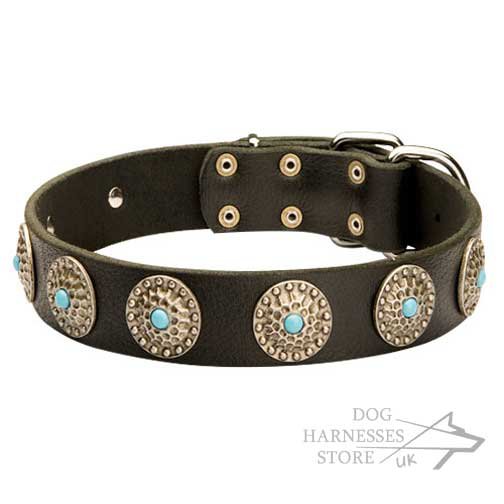 Fancy Designer Dog Collar Blue Stones and Circles Decoration