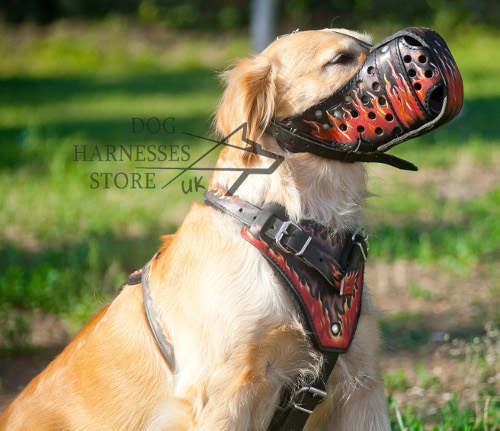 Golden Retriever Harness UK of Natural Leather "Flame" Painted - Click Image to Close