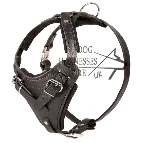Strong Padded Leather Harness for Service Dogs