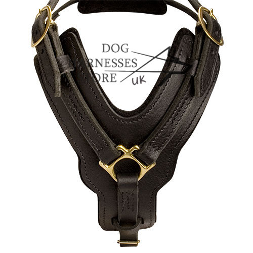 Padded Dog Harness UK