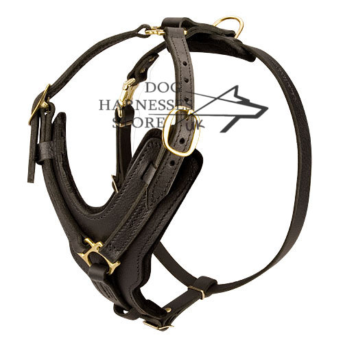 Padded Leather Dog Harness for Agitation Training