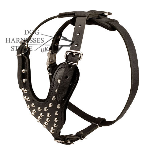 Cool Studded Walking Dog Leather Harness UK with Pyramids