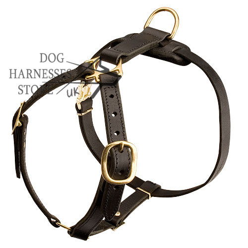 Harness for Dog Sports