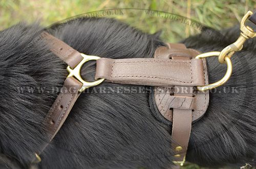 Strong Dog Harness for German Shepherd, Handmade of Leather