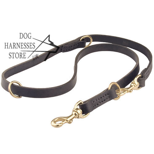 Bestseller! Functional Leather Dog Lead 3/4 Inch - Click Image to Close