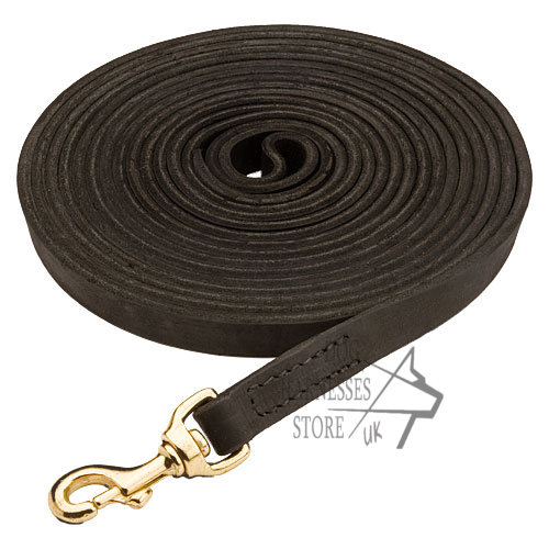 Long Leather Dog Lead for Tracking