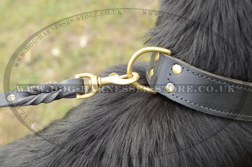 Large Leather Dog Collar for Grown-Up German Shepherd
