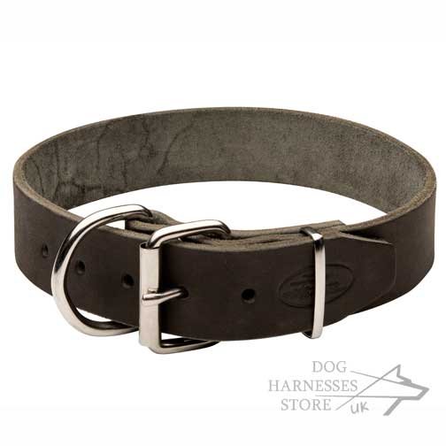 Leather Collar for Large Dogs, Classic Design and Top Quality - Click Image to Close