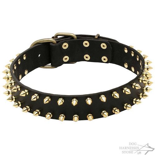 Dog Collar Leather with Brass Spikes in Two Rows, Luxury