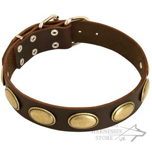 Leather Dog Collar in Retro Style with Oval Brass Plates