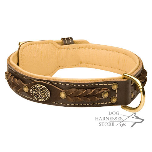 Luxury Dog Collar Nappa Padded, Brown Leather, Royal Design