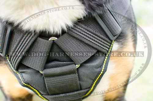 Swiss Mountain Dog Harness of Nylon with Cushioned Chest Plate - Click Image to Close