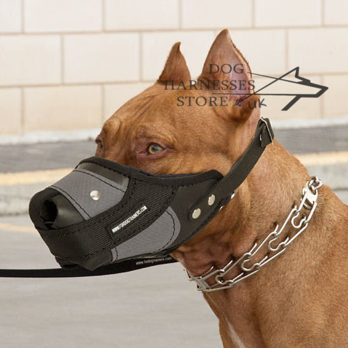 Best Dog Muzzles UK