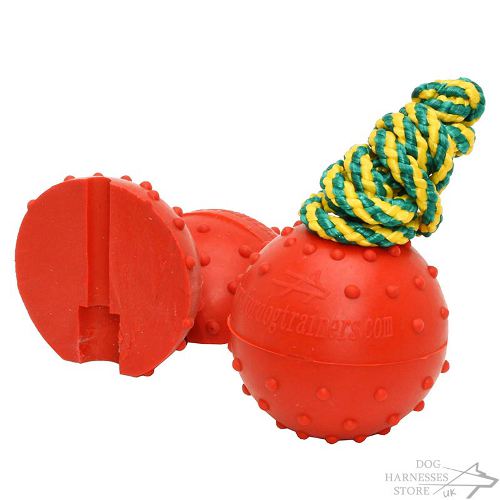 Rubber Dog Ball on Nylon Rope, Indestructible Canine Toy, 6 cm