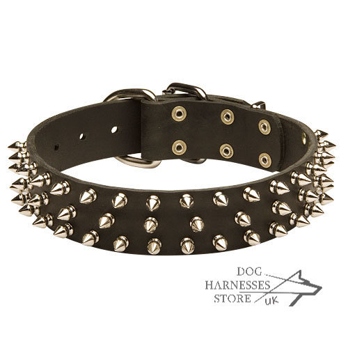 Leather Dog Collar with Three Rows of Cool Glossy Nickel Spikes