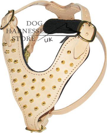 Dog Harness with Chick Brass Spikes Design