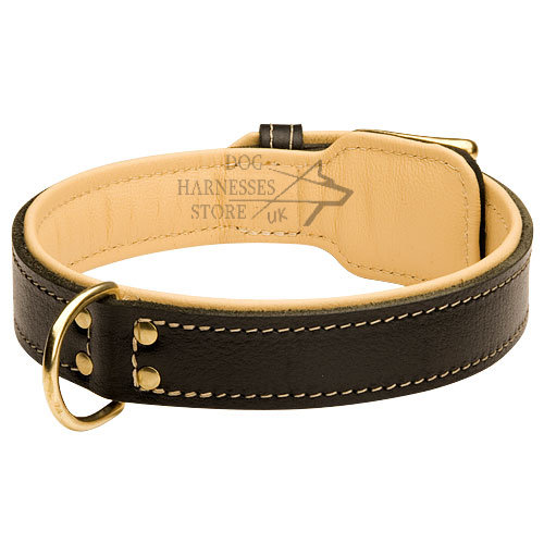 Wide Leather Dog Collar Stitched and Padded with Soft Nappa - Click Image to Close