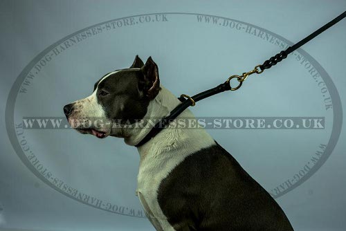 Amstaff Collar, Rolled Leather, Silent Safe Obedience Training