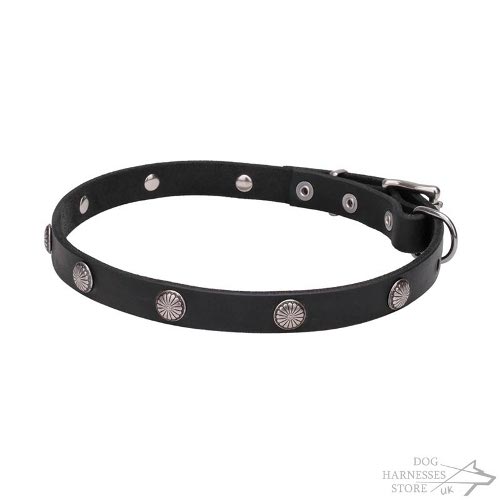 Thin Leather Dog Collar with "Antique" Flowered Round Studs