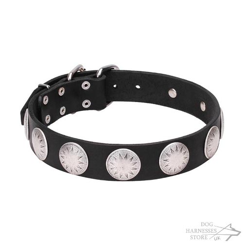 "The Orb of Night" Leather Dog Collar Silvery Stars on Plates