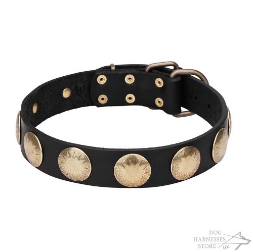 "The Orb of Day" Leather Dog Collar with Large Gold-Like Plates