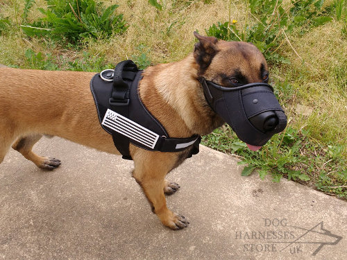 Belgian Malinois Dog Muzzle Improved of Leather and Nylon
