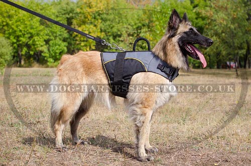 Belgian Tervuren Dog Harness Vest Nylon for Warming and Support