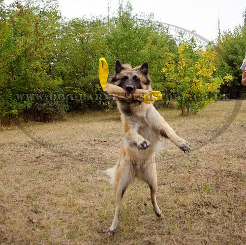 Belgian Tervuren Training Leather Bite Tug with 2 Nylon Handles