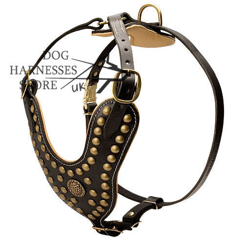 Dog Harness With Studs Design, Chic Nappa Padding and Style - Click Image to Close