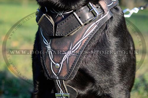 Best Dog Harness UK with"Barbed Wire" Hand Painting for Lab