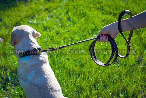 Best Dog Leash for Labrador Walking and Training, Leather - Click Image to Close