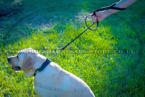 Best Leash for Big Dogs with Scissor-type Snap Hook & Braids