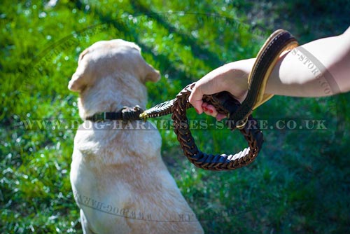 Best Leash for Labrador of Braided Leather, Nappa Lined Handle