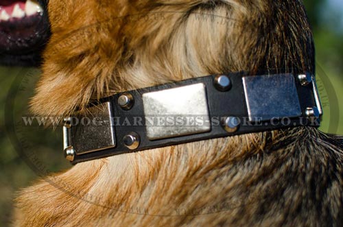 German Shepherd Dog Collar Bestseller in UK