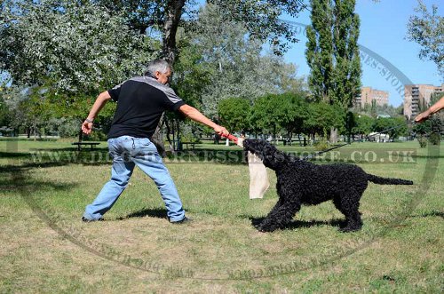 Jute Bite Rag for Black Russian Terrier Prey Drive Retrieve Work