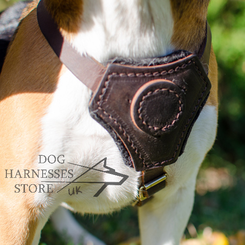 Leather Beagle Dog Harness for Comfort Walking