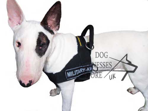 All Weather Nylon Bull Terrier Harness with ID Patches - Click Image to Close